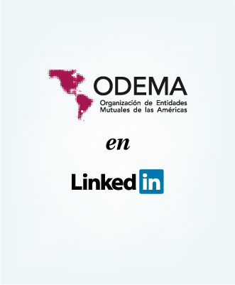 img secci&oacute;n